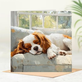 Beau Willows Cavalier King Charles Spaniel Birthday Card from the Dog - Adorable Sleeping Dog Card for Dog Mum, Dad, Wife, Husband, Girlfriend, Boyfriend