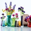 LSA International FC04 Flower Colour Bud Vase H14cm Peacock