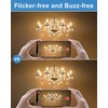 E12 B10 Clear Candle Base Bulb with Warm White 2700K,