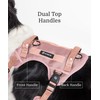 2025 New Edition, Fei & Eve Classic Dog Harness -