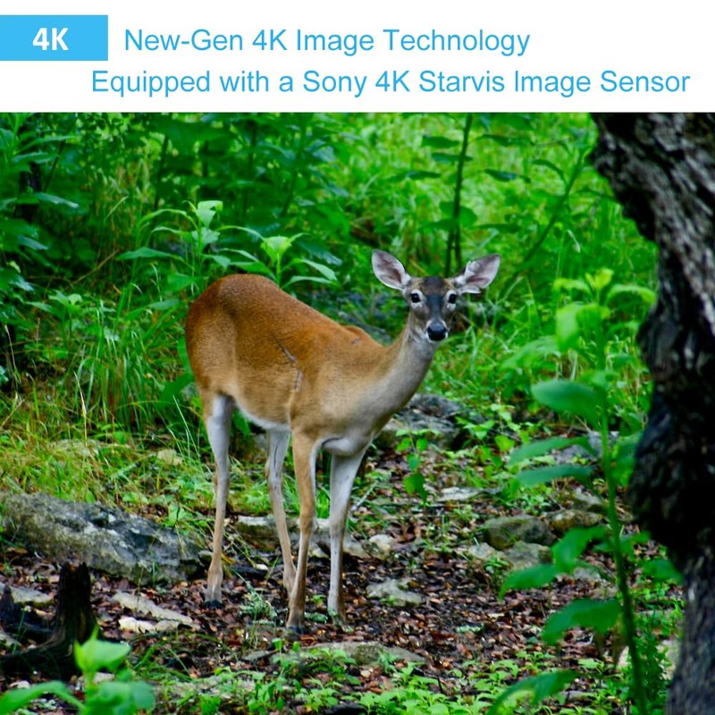 GardePro A50 Wildlife Camera, Ultra-HD 4K Sensor, Low Light Sensitivity,