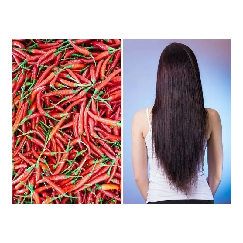 Shampoo Chile Romero Anti Caída Crecimiento Cabello Sheló