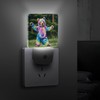 QWNMD Plug in Night Light Bear Dancing Tie Dye Printed