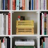 HAY Colour Crate 541454 - Trasportino S in polipropilene riciclato,