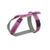 anny-x Fun Chest Harness Grey Pink (XXS)