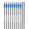 PANDARUS Archery 30Inch Carbon Practice Hunting Arrows with Removable for