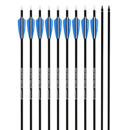 PANDARUS Archery 30Inch Carbon Practice Hunting Arrows with Removable for Youth Compound & Recurve Bow Target (Pack of 12)