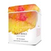 Life Plus Style Gourmet TEA NOW Mango Peach Green Tea