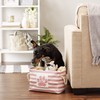 Bone Dry Pet Storage Collection Striped Paw Patch Bin, Small
