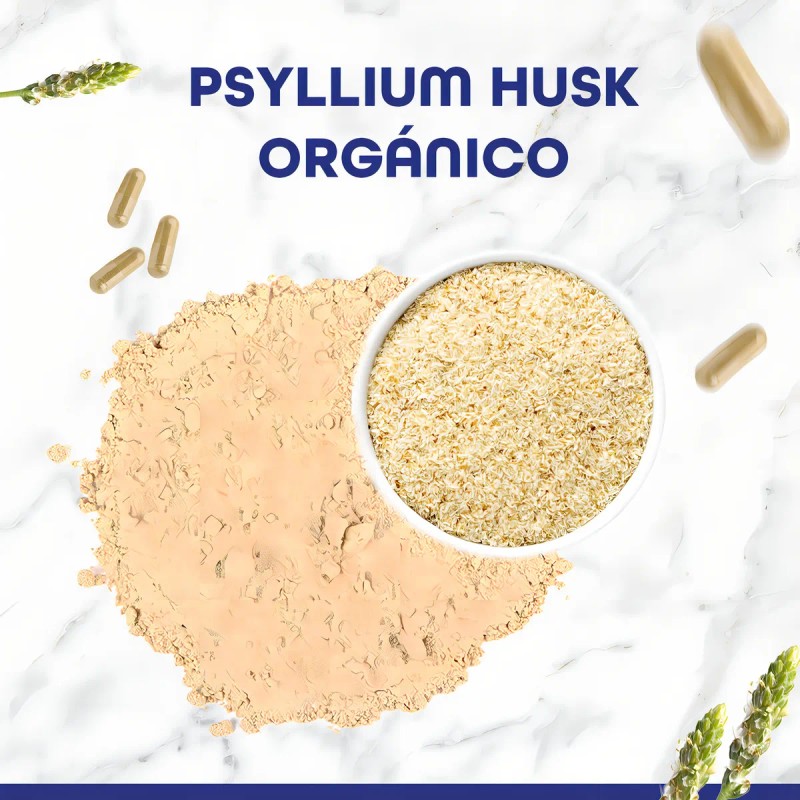 Suplemento Alimenticio en Cpsulas a Base de Psyllium Husk Orgnico