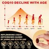 BANYCE CoQ10 200mg Softgels with Vitamin E Omega 3-6-9 PQQ