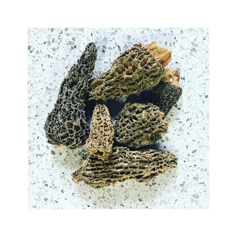 North Spore Dried Wild Morel Mushrooms 28 grams
