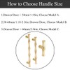 TopHomer Model B, 6Pcs Gold Brass Bamboo Knob, Zinc Alloy