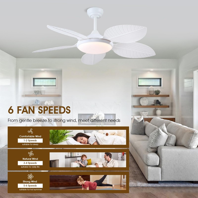 Wiviniya Ceiling Fans with Lights and Remote/APP Control, 48 Inch