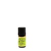 Spearmint Essential Oil Organic