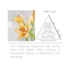 Acqua Aroma Vert Lily Room Fragrance Spray 6.8 FL OZ