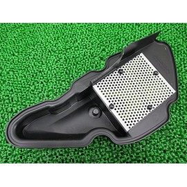 [ホンダ] ズーマー純正エアクリーナーエレメント AF58 17213-GEV-762