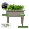 Dexceder 13.2 Gallon Self Watering Raised Garden Bed with Ventilation