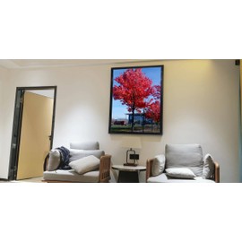 Medog 11x17 Picture Frame for Wall Black, Display pictures 11x17 Poster Frame, Wall Sign Poster Menu Photo Frames, 1 Pack