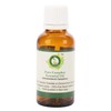 R V Essential Pure Camphor Essential Oil 5 ml (0.169