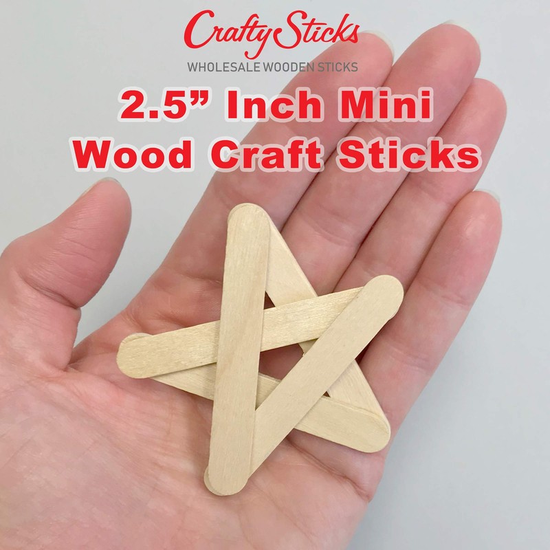 1000 Sticks, Mini Size Natural Wood Craft Popsicle Sticks 2.5