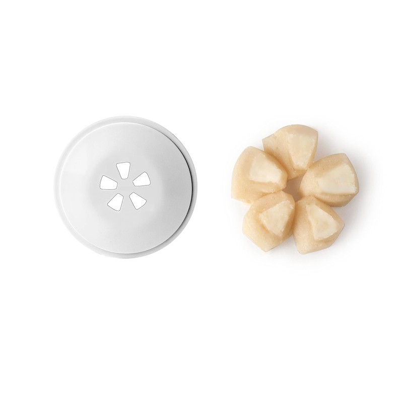 Ibili - Screw-in Churrera - Cookie Machine, BPA-Free Plastic, 12