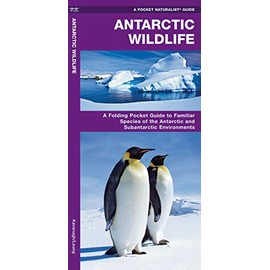 Antarctic Wildlife: A Folding Pocket Guide to Familiar Species of the Antarctic and Subantarctic Environments (Wildlife and Nature Identification)