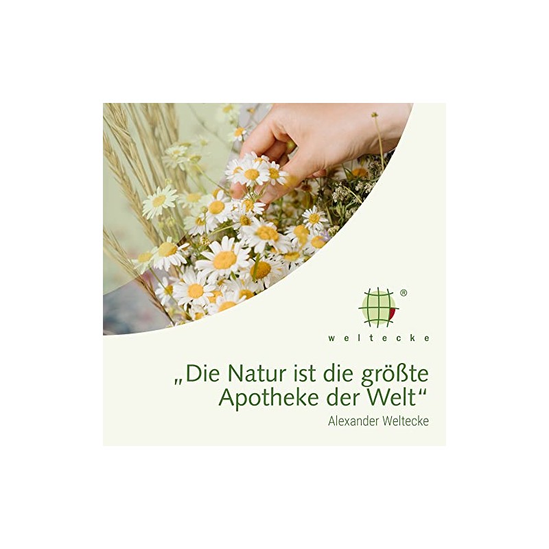 Weltecke Organic Nettle Tea Loose 250 g Freshly Bottled in