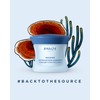 Payot - Source Adaptogen Moisturising Cream 50 ml