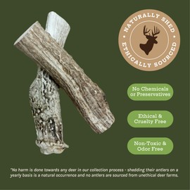 Good Trouble Pets All-Natural Shed Premium Antler Dog Chews -North American Sourced Deer Antlers for Dental Health & Anxiety Relief - Odor-Free & Non-Toxic Chew Toys for Dogs 2 Whole Antlers, Medium
