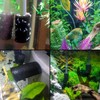IAFVKAI 6 PCS Pre-Filter Sponge Aquarium Foam Sponge Roll Intake