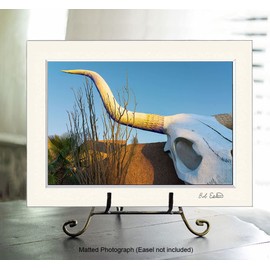 Bob Estrin Handmade Giant Bull Cow Skull Roadside Attraction Wall Art Décor Photograph