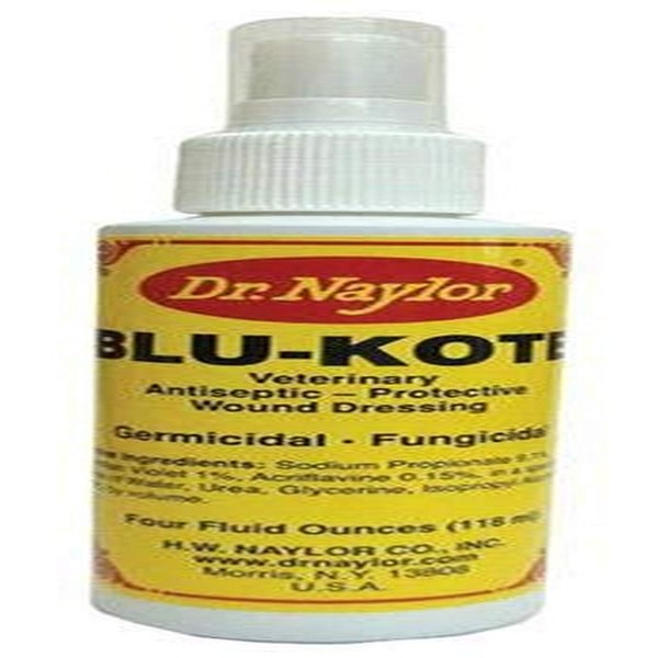 Dr. Naylor Blu-Kote Pump Spray (4 oz.) - Fast Drying Antiseptic Wound Dressing