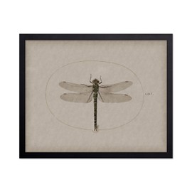 Poster Master Vintage Dragonfly Poster - Dark Academia Artwork - Unique Wall Decor Gift for Home, Living Room, Kitchen, Office, Bedroom, Bathroom - Insect Scientific Print, 16x20 Black Framed