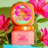 TREE HUT, Pink Hibiscus Shea Sugar Scrub, Exfoliante Corporal de