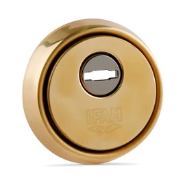 IFAM ES610 Lock Shield, Anti-Jaw and Anti Protection System, Steel Plate, Brass Color