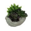 MayRich Company Cement Cupped Hands Wall-Mountable Planter & Birdfeeder –