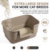 Cat Litter Box with Litter Mat and Scoop,High Wall Enclosed