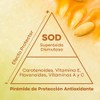 Sodimel Sérum Facial Antioxidante 30 g