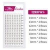 Fadlash (5D-0.07-D-(8-14) Volume Eyelashes Pre-Fanned 5D Pre-Made Russian Eyelash Extension