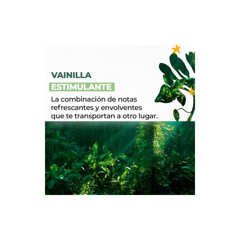 Yves Rocher Set Cuidado Corporal Estimulante aroma Vainilla Francesa: Crema