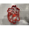 Heart Anatomy Cookie Cutter