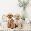 Monchéri (PU Leather Tape Harness + Lead Set) Dog Harness,