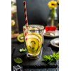 Aqualogis Double Walled Thermal Glass Cappuccino Latte Venice 2 Pack