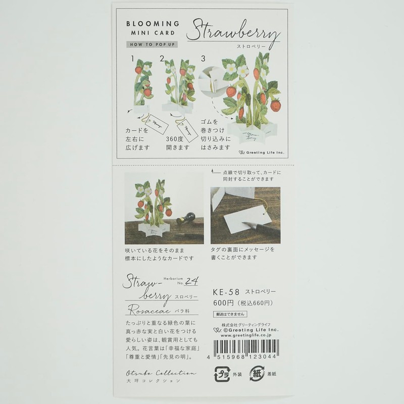 Greeting Life Blooming Card Mini Strawberry KE-58