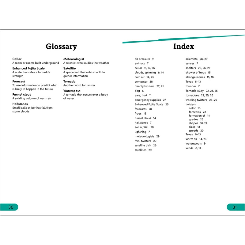 DK Super Readers Level 3 Twisters!