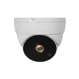 LevelOne ACS-5302 4-in-1 CCTV Camera Dome Surveillance Device 1080P FHD Resolution Weatherproof IP67 Infrared LEDs for Night Watching