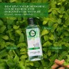 Shampoo Herbal Essences Detox Té Verde Menta 400 Ml