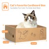 AGYM Cat Scratcher, 5 Packs in 1 Cardboard Box Cat