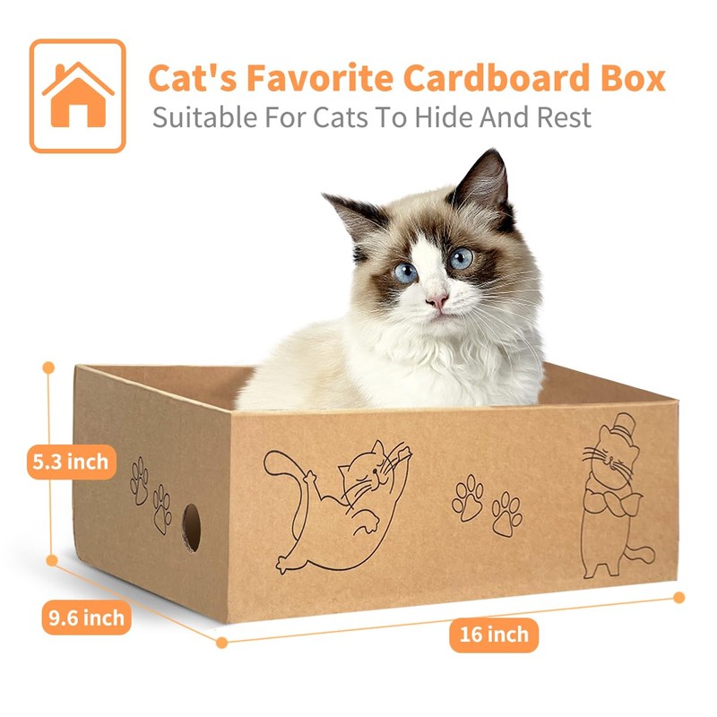 AGYM Cat Scratcher, 5 Packs in 1 Cardboard Box Cat